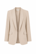 Blazer Ceket
